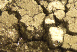 Eyeshadow Mineral SP100 Olive