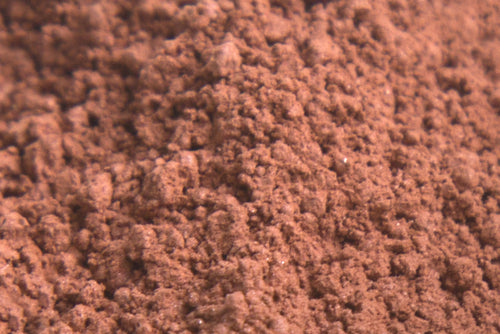 Blush MB 2 Burnt Orange