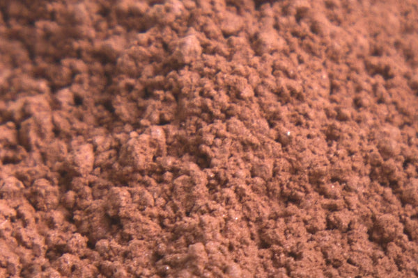 Blush MB 2 Burnt Orange