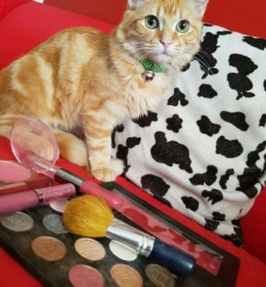 Here is a great read by one of our customers about cruelty free makeup products!!!!